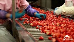 已经有4个地方要争“预制菜之都”了