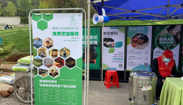 清明走一走：云掃墓是未來，但不火還挺亂