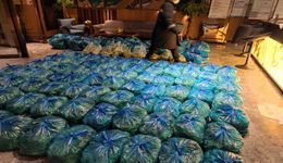 房企在行动丨中骏：物业支持发力，做好防疫工作