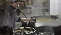 东阿阿胶往事（上）