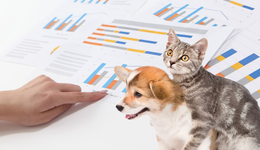 國(guó)產(chǎn)寵物險(xiǎn)試水18年：套路多、流程復(fù)雜、理賠困難