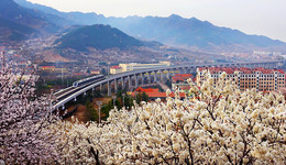 踔厉奋发奔未来！青岛市崂山区推进经济社会高质量发展纪实