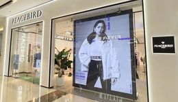 净利润下滑严重，新布局能否拯救“太平鸟”？