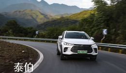 挥刀断指，比亚迪斩断燃油车的底气来自哪里 ？