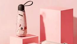 蕉下扯掉了新消費(fèi)的遮羞布