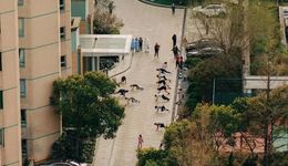 2022疫情下的時(shí)尚產(chǎn)業(yè)樣本：錯(cuò)過(guò)春天，期待秋天