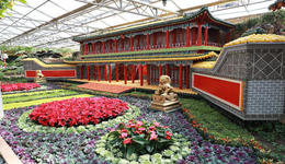 相约蔬菜硅谷，共享绿色盛会