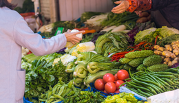 論種菜，山東人世界第一