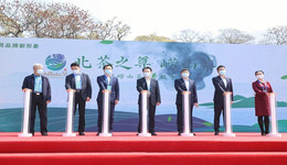 2022春茶开采，崂山茶区域公用品牌新形象全球首发