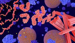 阿兹海默症或可治愈，研究发现tau蛋白是致病根源