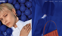 红杉中国领投法国配饰品牌 DESTREE，碧昂斯和蕾哈娜等参投