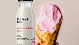 总结2022年替代蛋白新趋势，万亿赛道还有哪些值得关注的机会点？