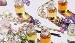 Q1財(cái)報(bào)大比拼，誰最亮眼？