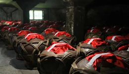 净利润大增，舍得的老酒战略走通了？