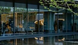 一场盛放，看城市山水韵绽东方