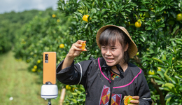 2022年，誰(shuí)在帶火助農(nóng)直播？