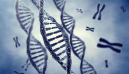 完整基因組的問世，破解了關于生命的“天書”