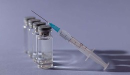 动物美容也选它：重组时代即将到来 谁才能成为真赢家？