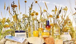 16.7%，歐舒丹迎8年來最快增長