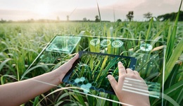 一季度中央接連落地5項(xiàng)政策規(guī)劃，智慧農(nóng)業(yè)關(guān)鍵發(fā)展時(shí)期已至？