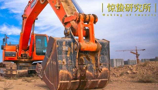 蓝翔,新东方,职业教育,投资,培训