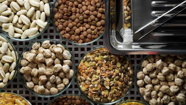 食品,健康,消费,投资,工业