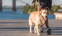 年轻人关注养老，将为哪些行业带来机遇？