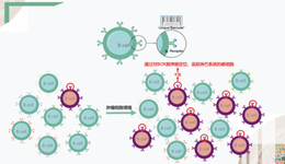 MRD技術(shù)流派之爭：5個維度告訴你誰是最優(yōu)解