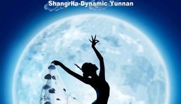 19年演了7000多場，《云南映象》突然停演，楊麗萍含淚宣布解散團隊