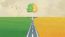 相比“增收不增利”，財信吉祥人壽償付能力更堪憂