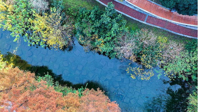 再生水成“第二水源”，织就甬城水美图景