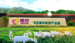 IPO闖關(guān)失敗后“喊冤”，紅星美羚到底冤不冤？