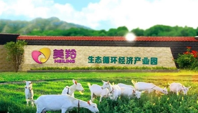 红星美羚,羊奶,IPO,招股书,投资