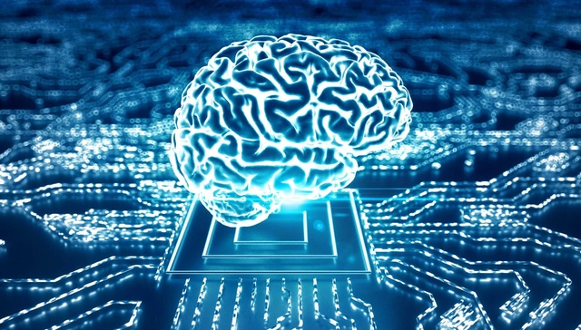 生命科学,类器官芯片