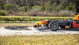 迈阿密：史上最潮的一站F1是怎么诞生的？