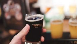 1399元/瓶的青島啤酒供不應(yīng)求，品牌高端化成功？