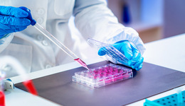 战略升级驱动大提速，盈康一生大健康布局初显“荷塘效应”