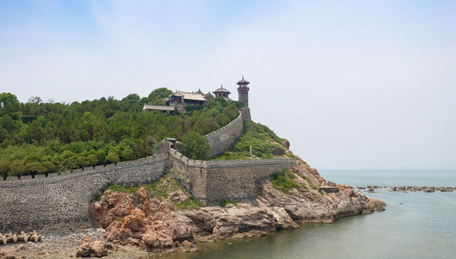 刘杨：挺起脊梁昂首精彩人生 轮椅上的爱心使者