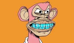 周杰倫丟了“一只猴”，損失超300萬，數(shù)字藏品的錢這么好賺？