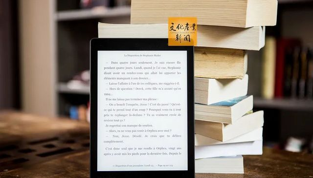 网络文学,中国市场,资本市场