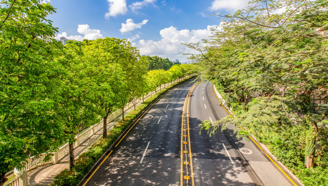 陕西拟立法制止耕地“非农化”“非粮化” 禁止违规占用耕地挖田造湖造景
