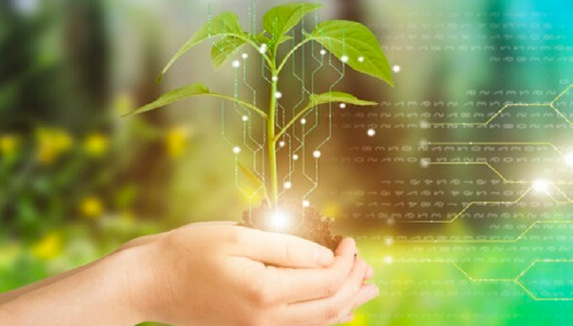 薪酬,合成生物学,人才竞争