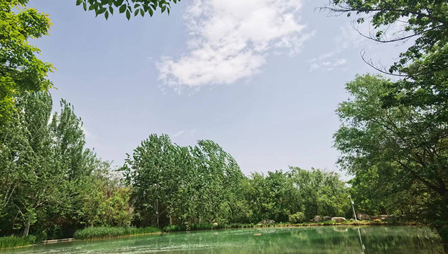 郑州新郑挂牌1宗住宅用地 起始价1.74亿元