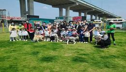 象山石浦《海港谜城》宠物专场招募啦