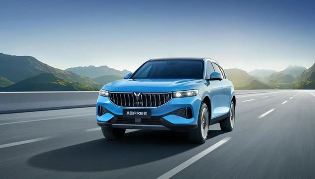 电动车,东风汽车,投资,理想汽车,投资