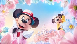 奈飞偷师爱优腾，但所有流媒体的终局都是迪士尼