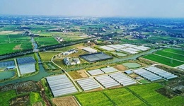 领跑数字农业，为什么是浙江？