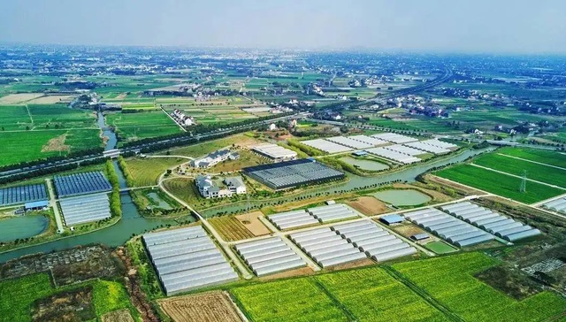 浙江,数字农业,创业