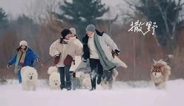 综艺“投喂”心理咨询师