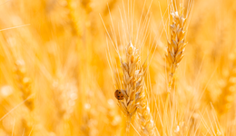 新乡市延津县开展“马路办公”确保“三夏期间”干线公路安全畅通